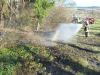 Mittelbrand