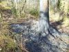 Mittelbrand