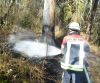 Mittelbrand