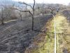 Mittelbrand