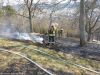 Mittelbrand